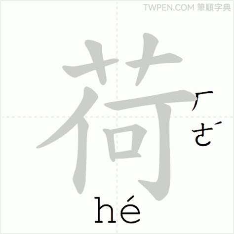 荷字義|荷：荷的意思/造詞/解釋/注音